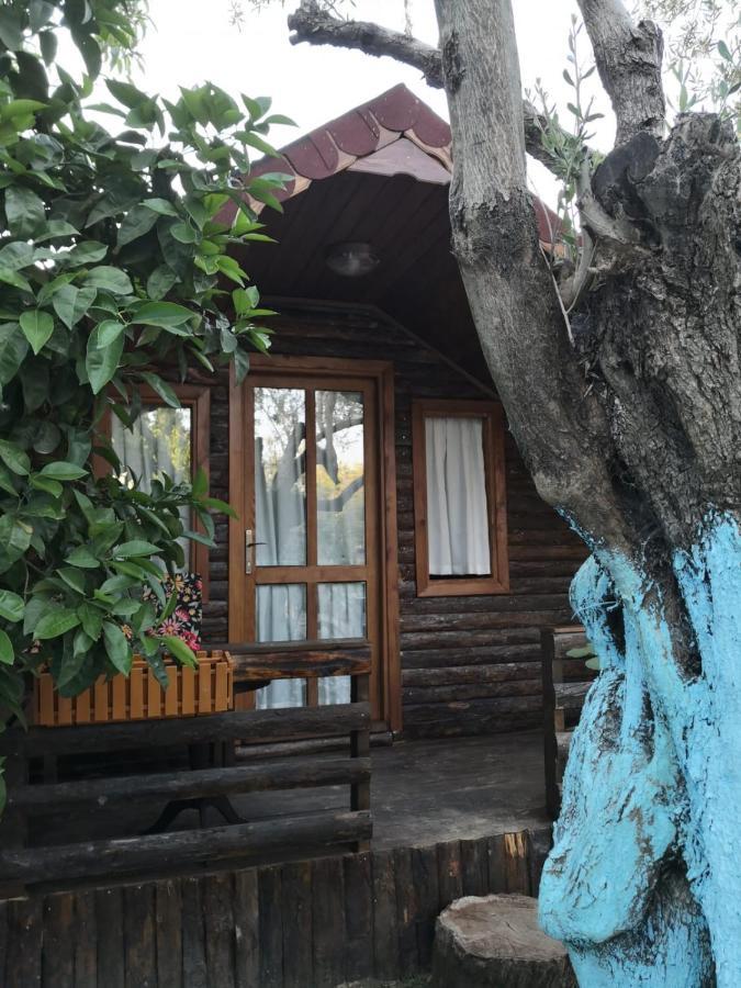 Zeytindagi Bungalow Mehmetalani Exterior foto